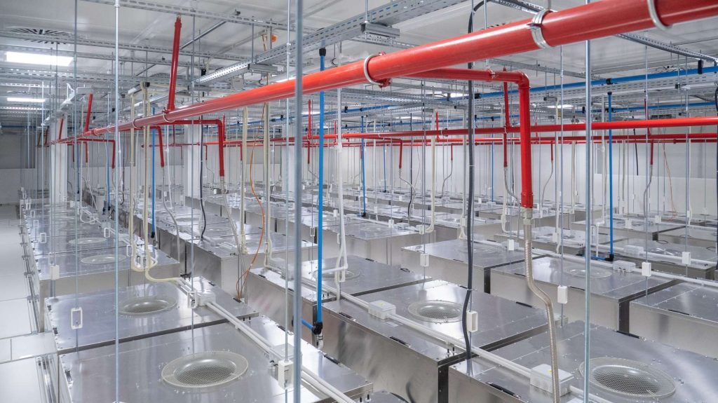 MKS - București - CLEAN ROOM
